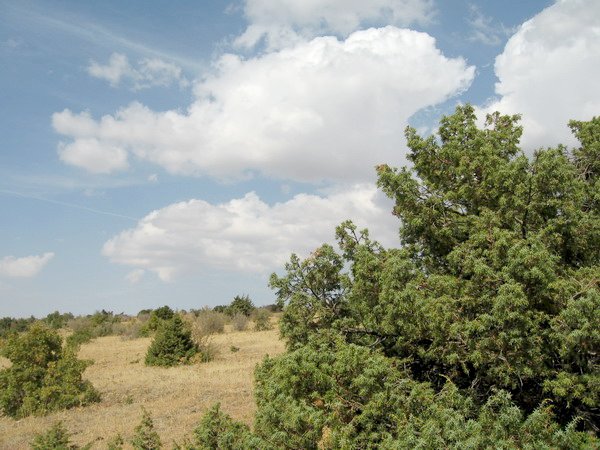 North view from confluence point