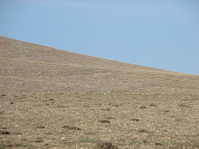 View towards north from Confluence