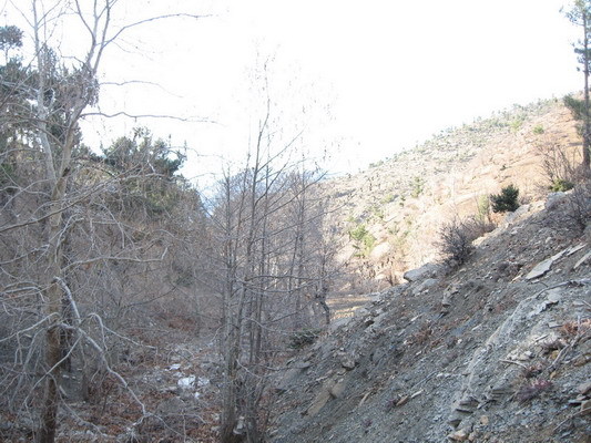 West view from intersection point