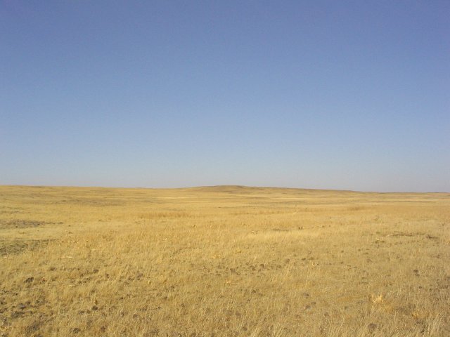 View east