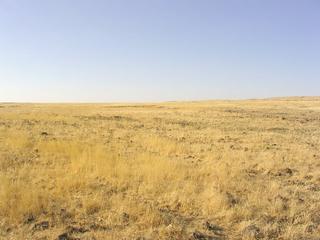 #1: View of the confluence point