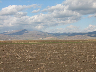 #1: Looking north from the CP