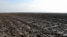 #2: East view