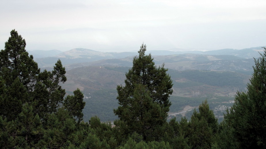 South