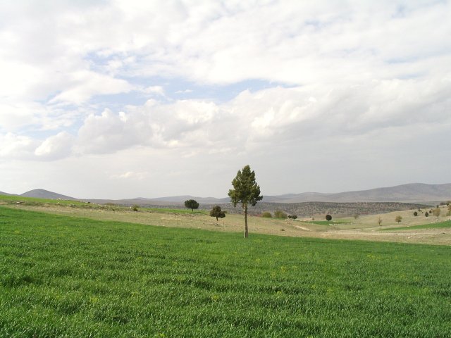 View from confluence point to the North