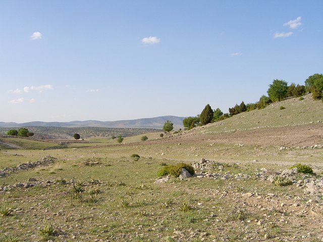 North