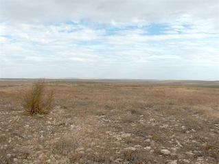 #1: Looking East from the Confluence point