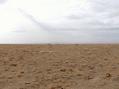 #3: Looking West