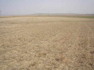 #1: View to the South with the Confluence in the immediate foreground.