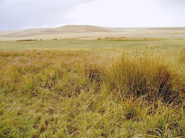 Landscape near the Confluence