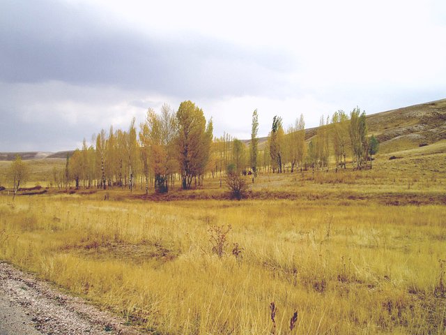 On the road to Kuşkayası