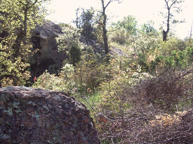 Looking towards the CP, which is just over this rocky fence