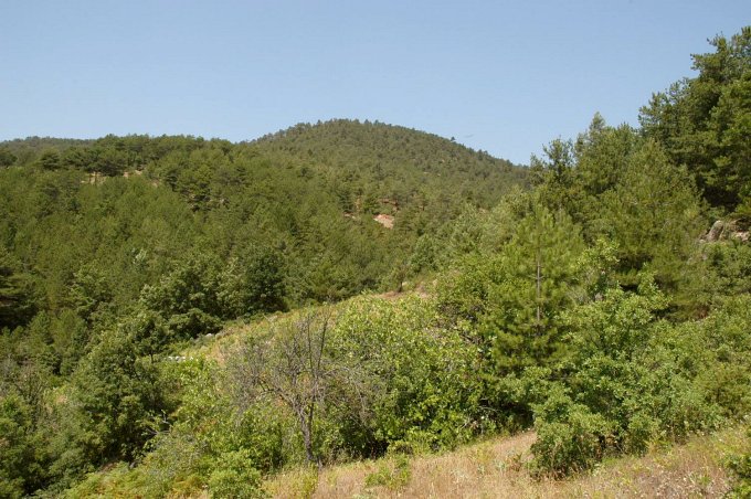 View north, the Confluence is behind this hill