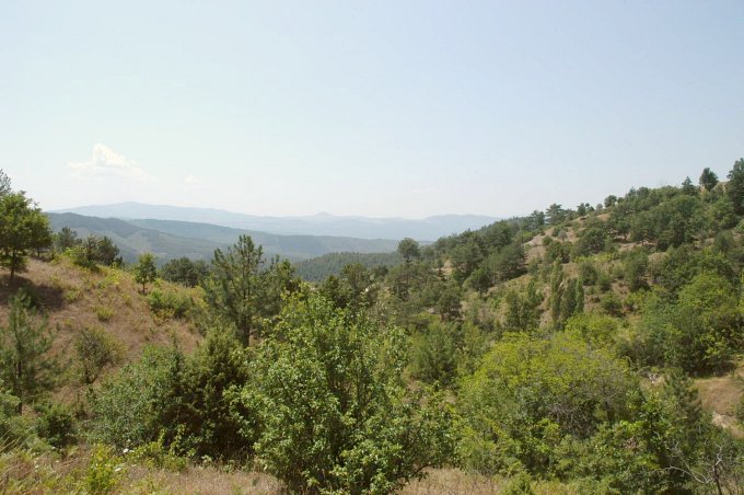 View south from about 1400 m south of the Confluence