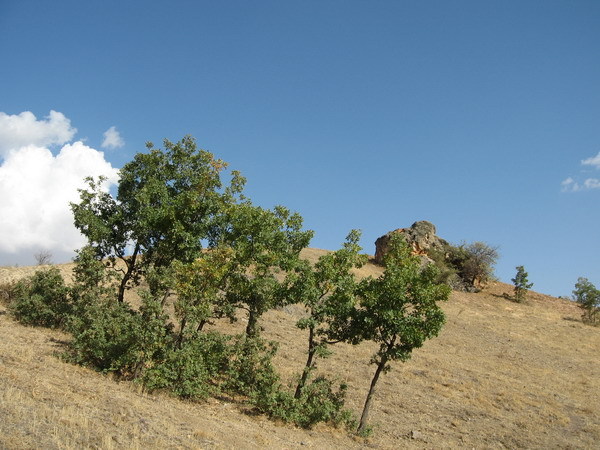 East view from confluence point