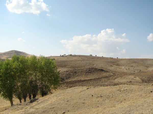 West view from confluence point