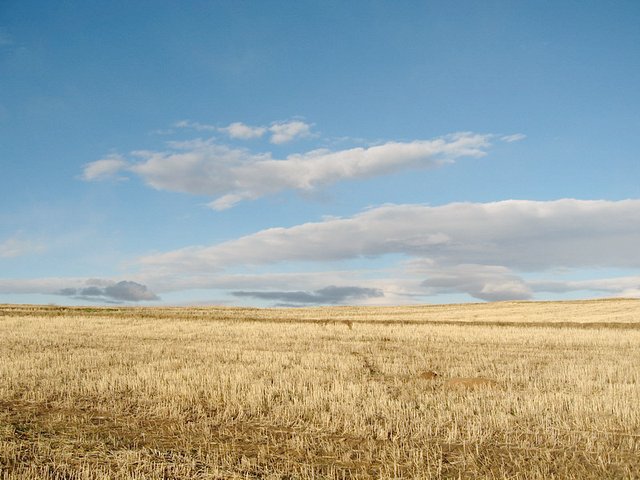 West view from confluence point