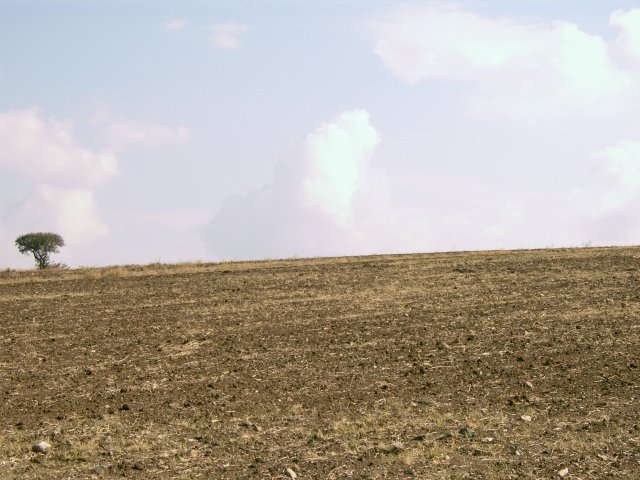 East