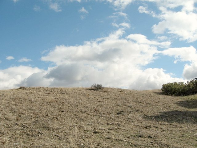 East view from confluence point