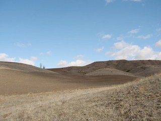 #1: North view from confluence point