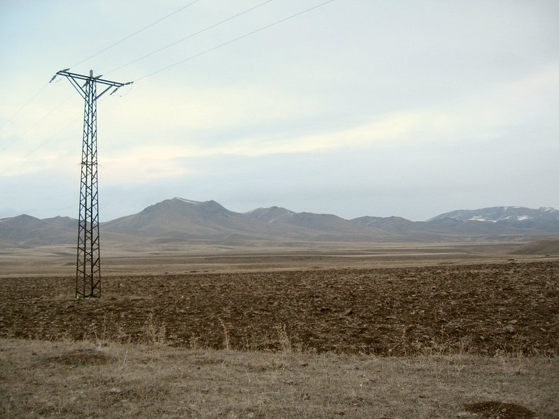 North