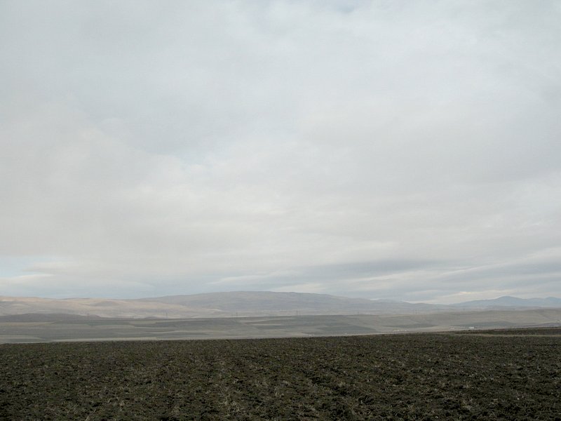 North