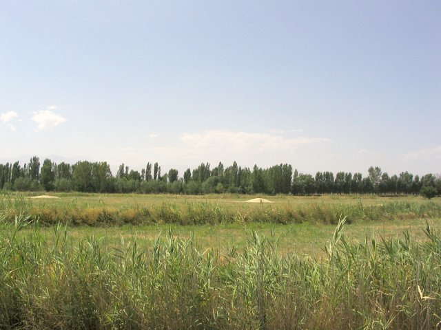 View towards the confluence point beyond the irrigation channel