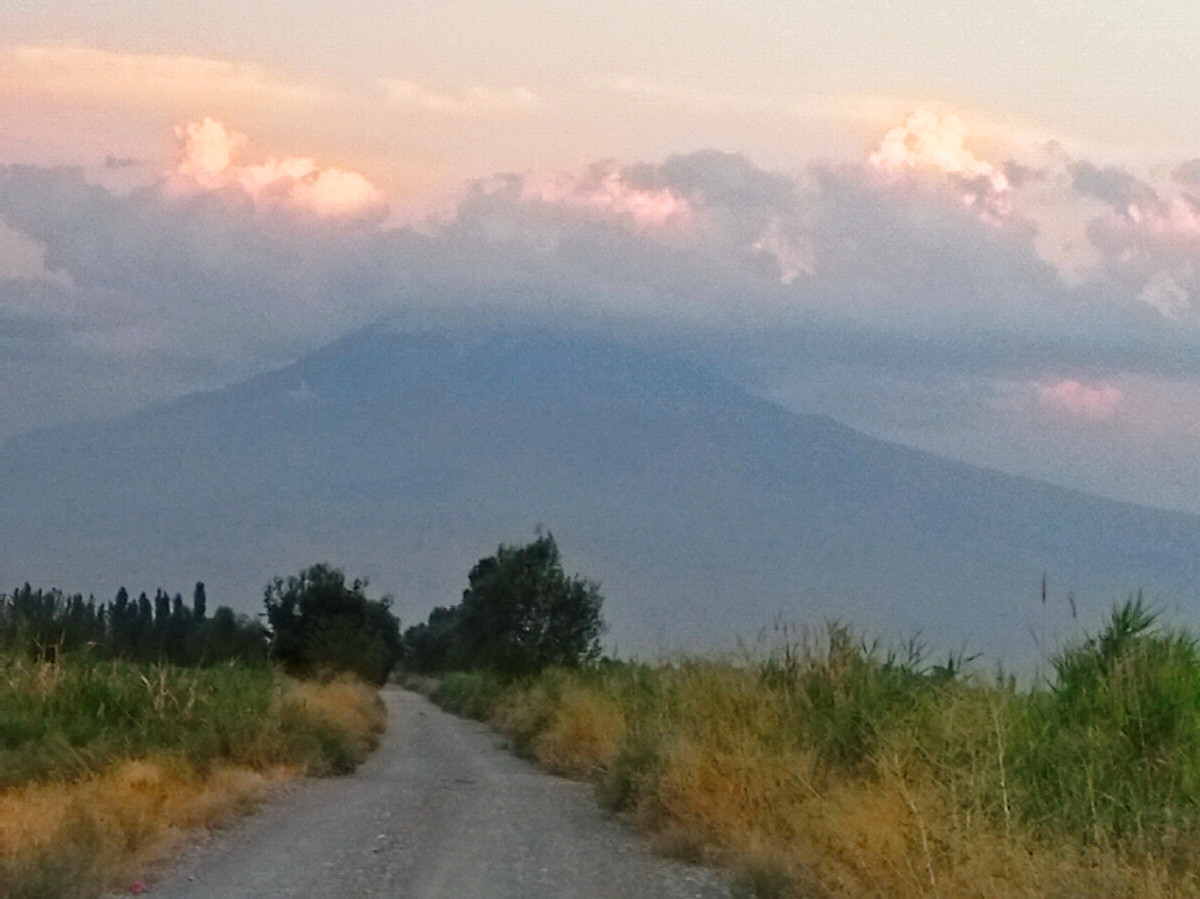 Ararat