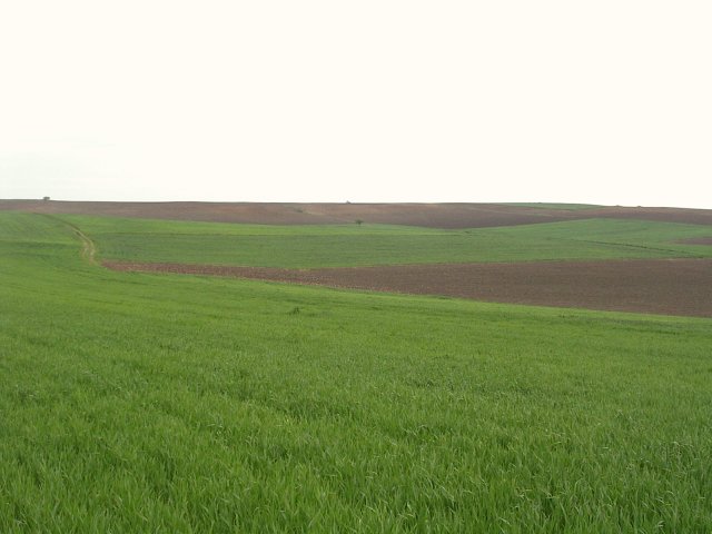 Looking north from the CP