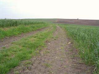 #1: Look towards the CP from the farm track