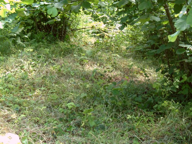 Close-up of the confluence point