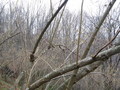 #4: West view
