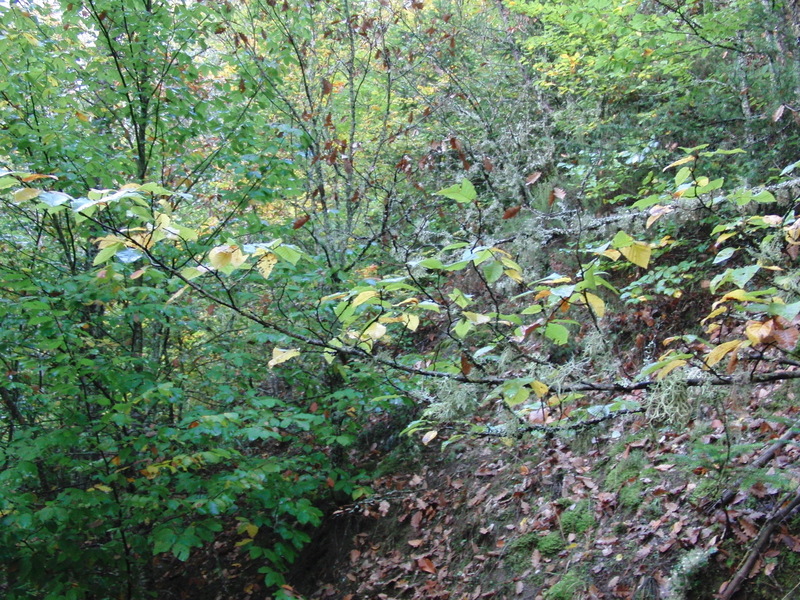 Blick nach Norden - View north