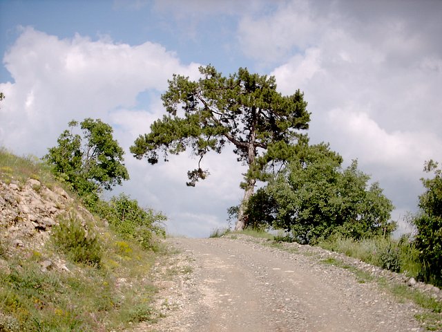 Road over the hills