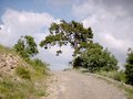 #2: Road over the hills