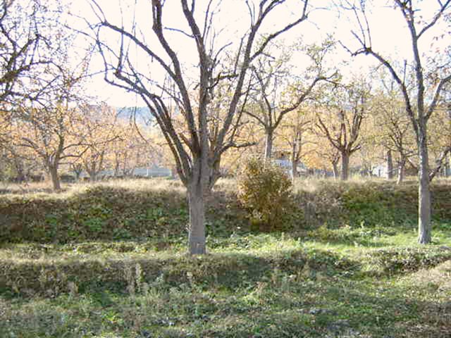 West