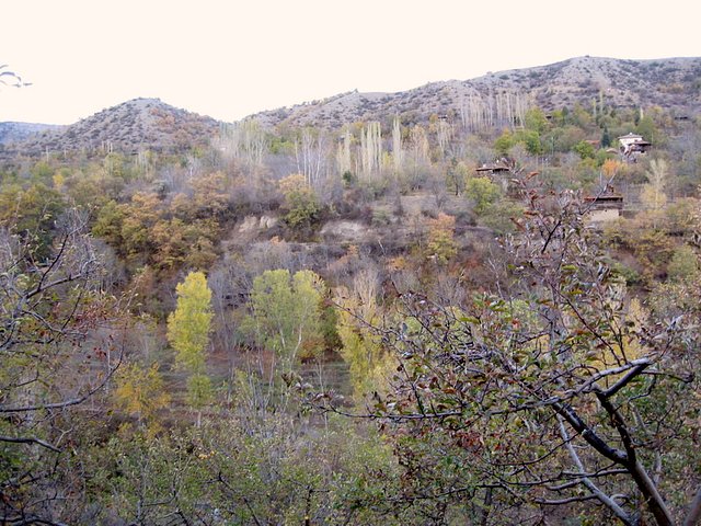 North view from confluence point