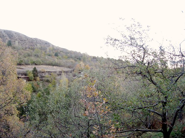 East view from confluence point