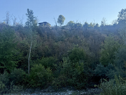 #1: The confluence from 66 m distance
