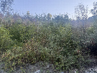 #3: View to the West