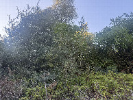#4: View to the North