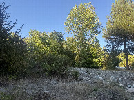 #5: View to the East