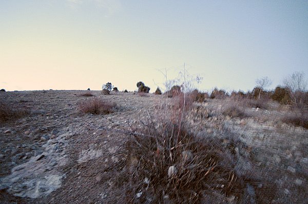 North view