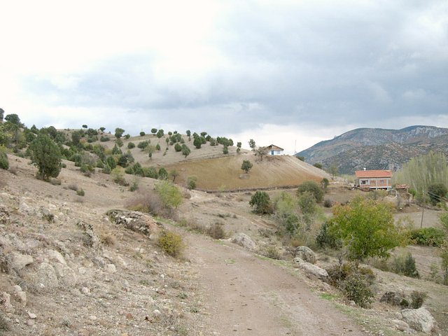 East view from confluence point