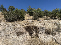 #4: View to the North