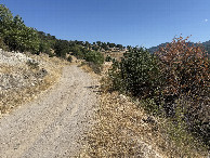 #5: View to the East