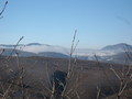 #11: Foggy fields / Sisli arazi