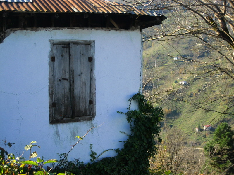 Cute regional houses / Sirin yöre evleri