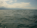 #3: The coastline due west