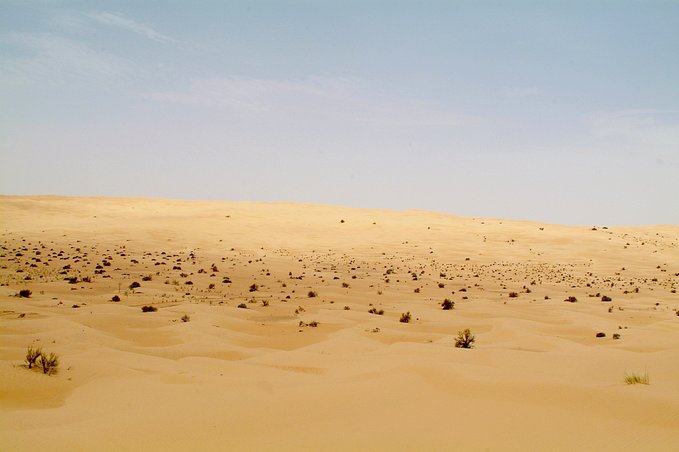 Landscape at the Confluence